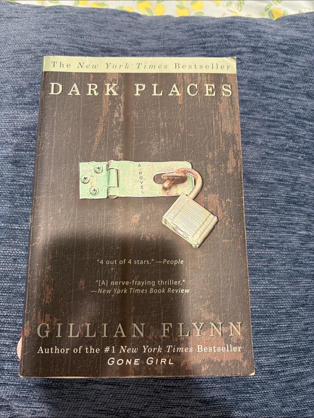 Gillian Flynn Dark Places Paperback Novel